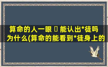 算命的人一眼 ☘ 能认出*
徒吗为什么(算命的能看到*
徒身上的光吗)